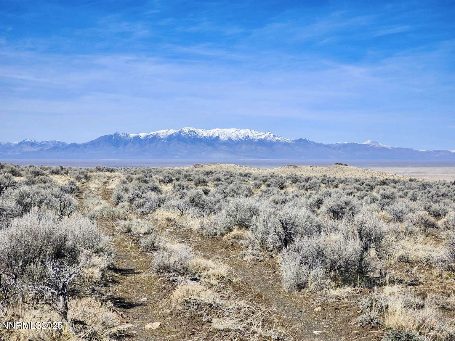 0 Blue Mountain Road Winnemucca, NV 89445 - Photo 13 of 19 Sharp.13