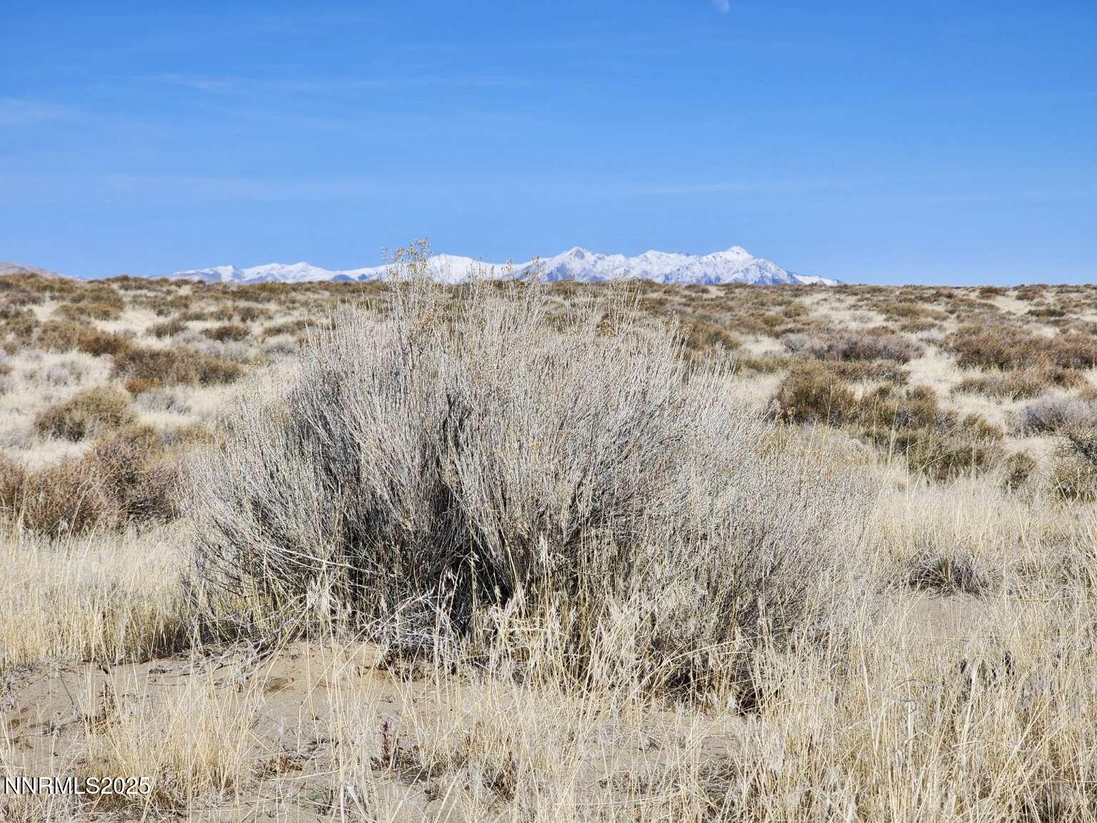 0 Blue Mountain Road Winnemucca, NV 89445 - Photo 8 of 19 Sharp.8