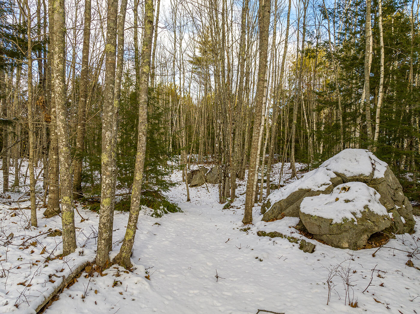 68 Cooks Point Road Hope, ME 04847 - Photo 48 of 70 DJI_0217