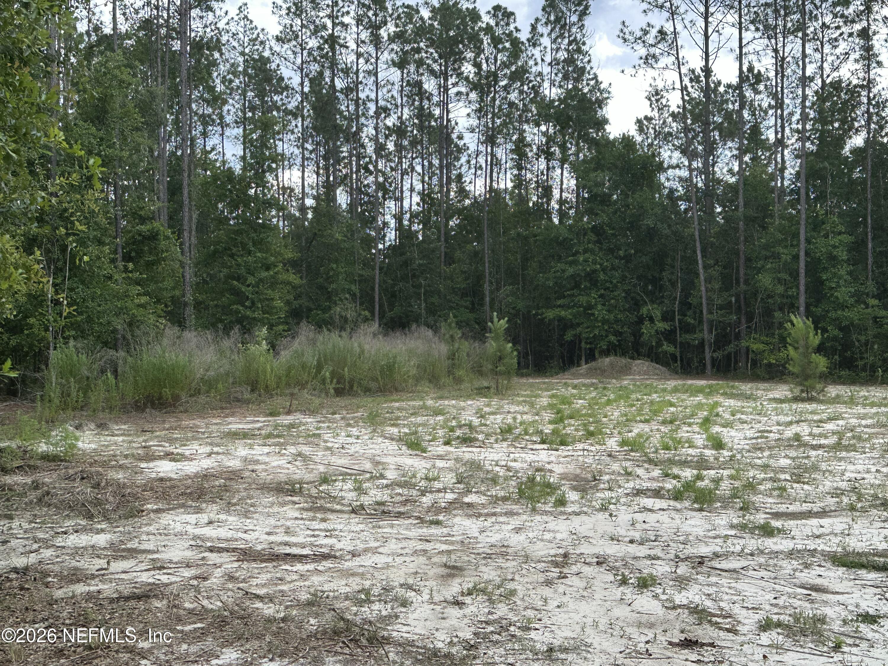 15422 Bullock Bluff Road Bryceville, FL 32009 - Photo 15 of 23 a view of a lake view