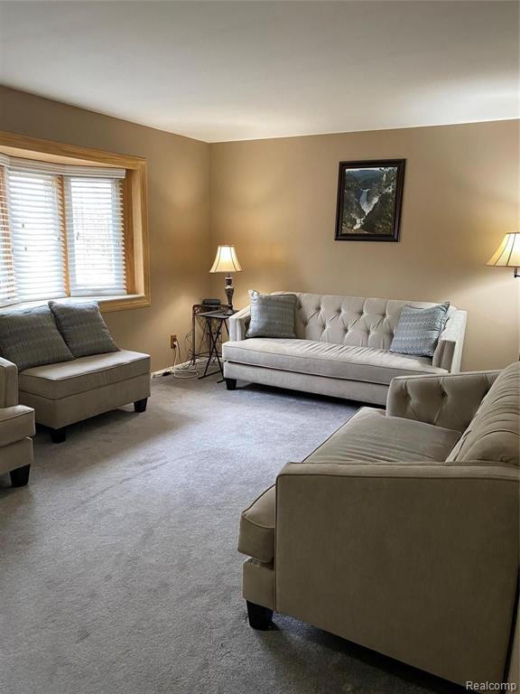 3210 Kings Mill Road North Branch, MI 48461 - Photo 4 of 23