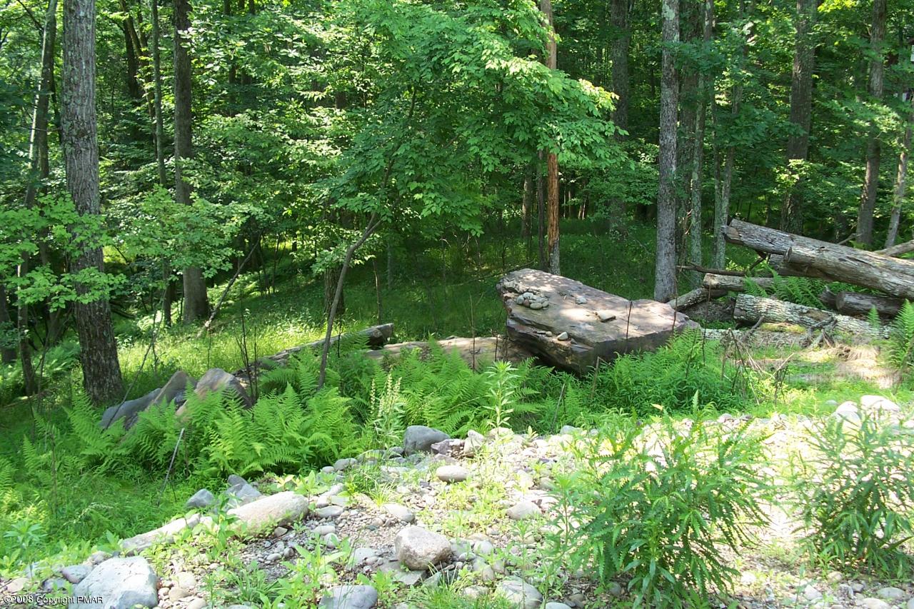 31 Spring Run Lane Cresco, PA 18326 - Photo 2 of 14 Stream