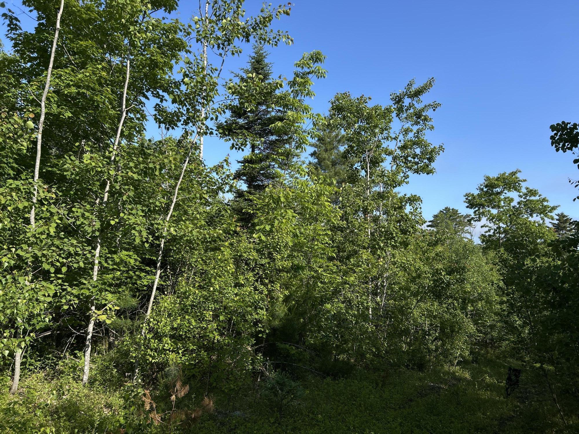 M4-l19 Village Road Jackson, ME 04921 - Photo 8 of 28 IMG_4815