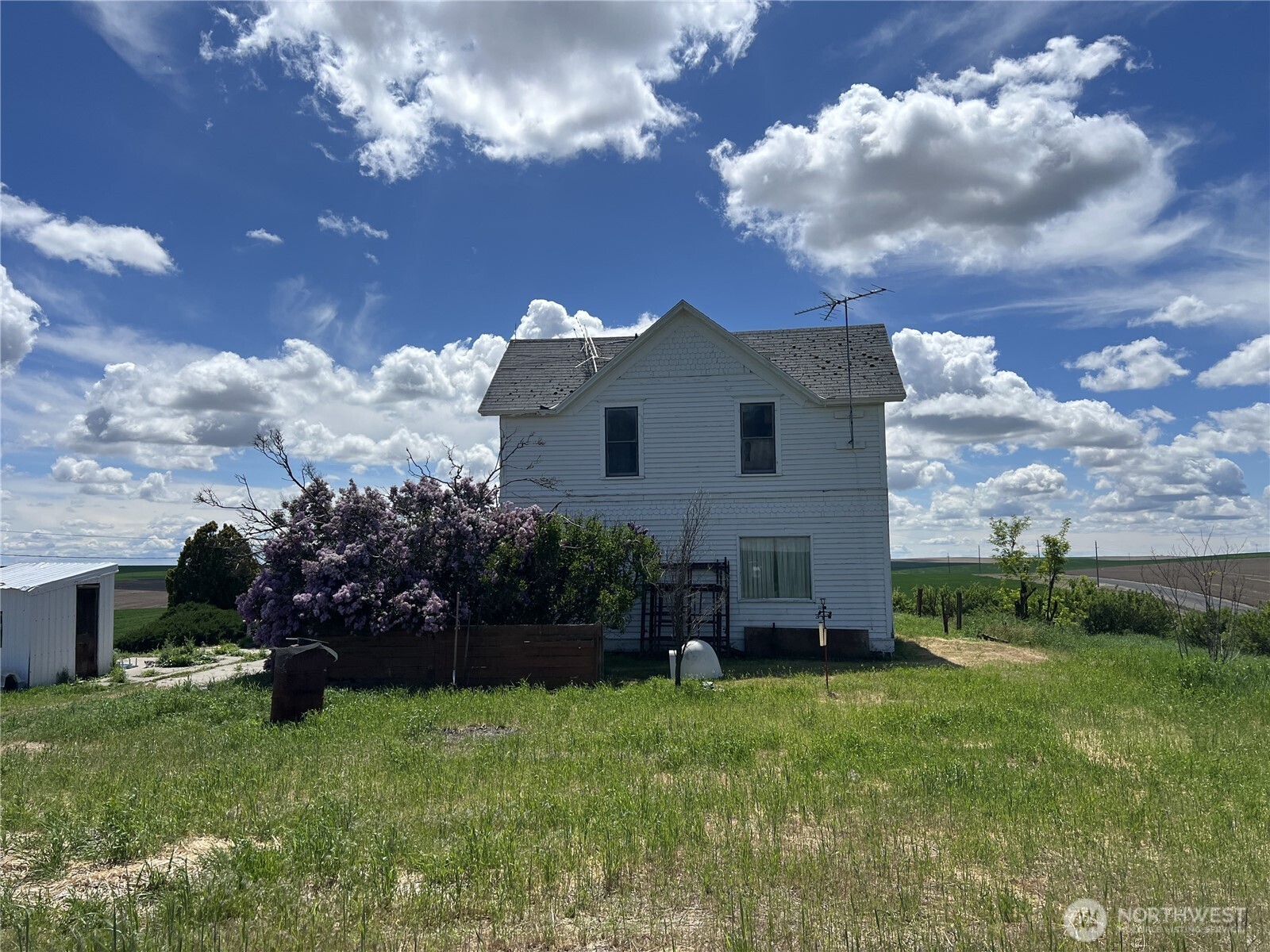 1225 North Marcellus Road Ritzville, WA 99169 - Photo 26 of 40 a view of a house with a big yard and a large tree
