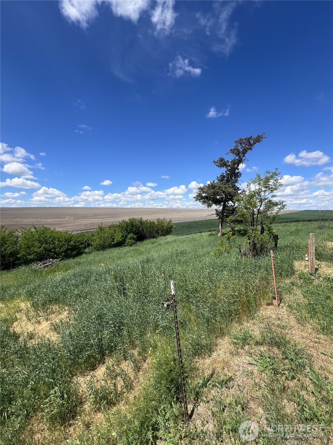 1225 North Marcellus Road Ritzville, WA 99169 - Photo 35 of 40 a view of a big yard with green space