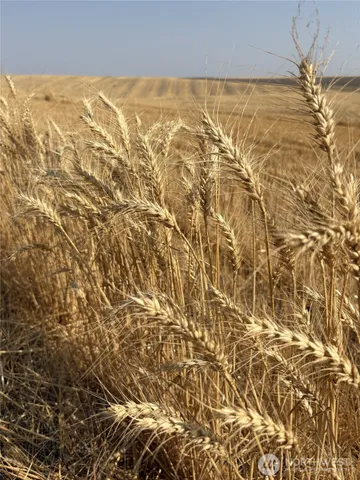 $365,000 | 1225 North Marcellus Road, Ritzville, WA 99169