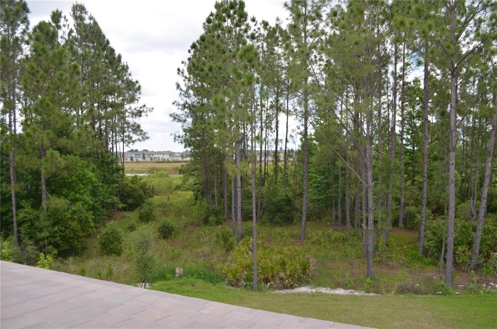 35311 Big Hawk Drive Zephyrhills, FL 33541 - Photo 19 of 34