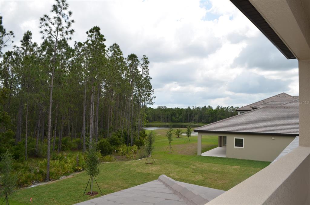 35311 Big Hawk Drive Zephyrhills, FL 33541 - Photo 20 of 34