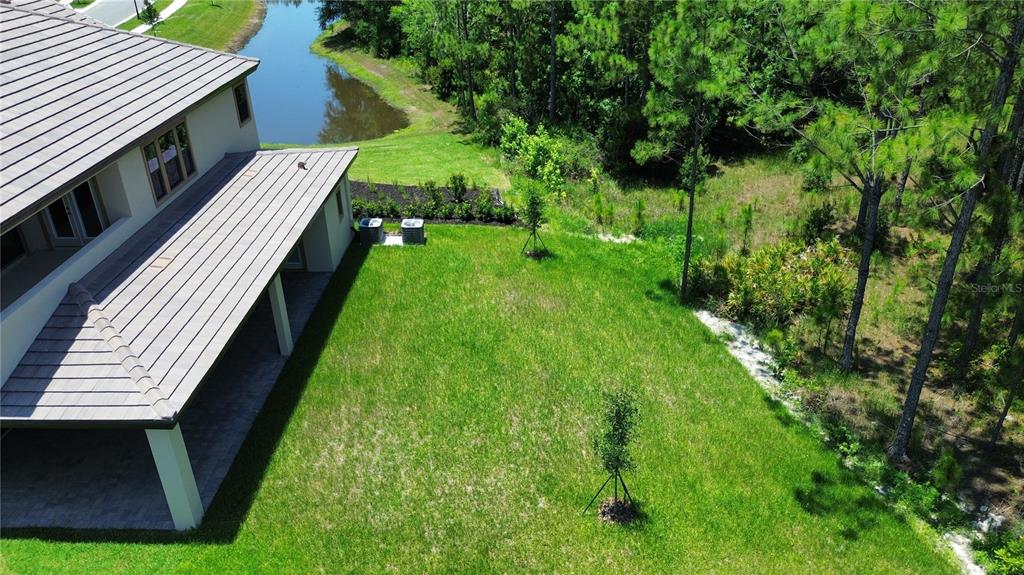 35311 Big Hawk Drive Zephyrhills, FL 33541 - Photo 2 of 34