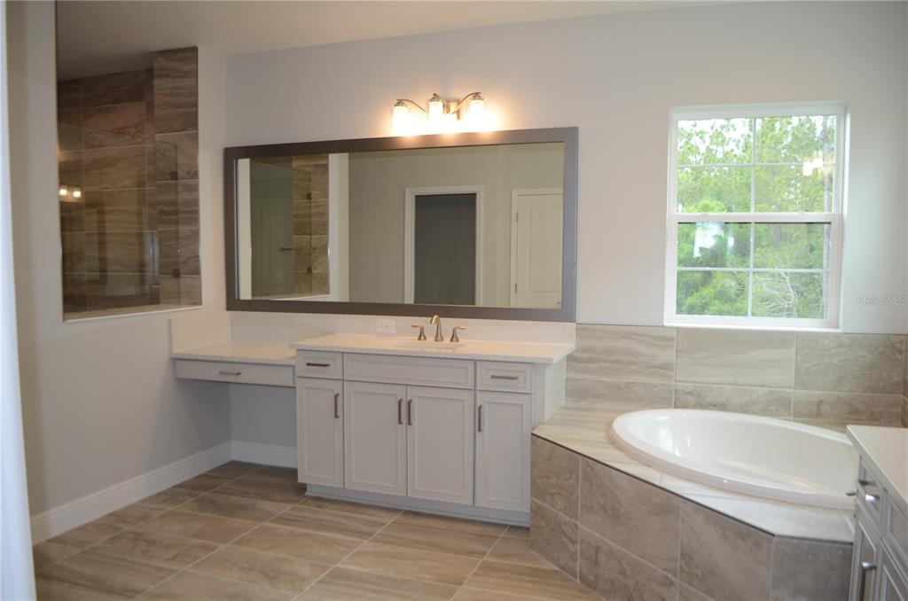 35311 Big Hawk Drive Zephyrhills, FL 33541 - Photo 22 of 34