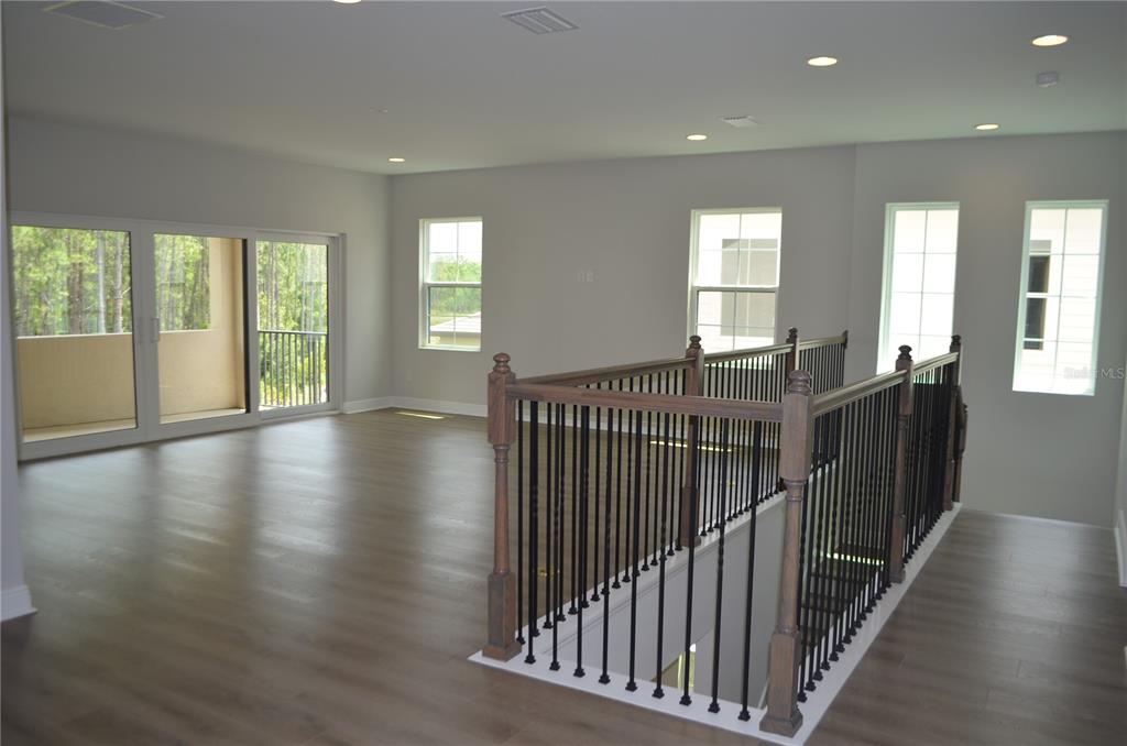 35311 Big Hawk Drive Zephyrhills, FL 33541 - Photo 25 of 34