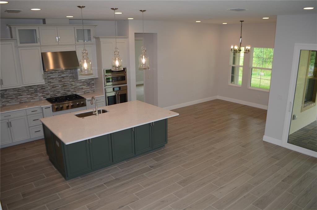 35311 Big Hawk Drive Zephyrhills, FL 33541 - Photo 30 of 34