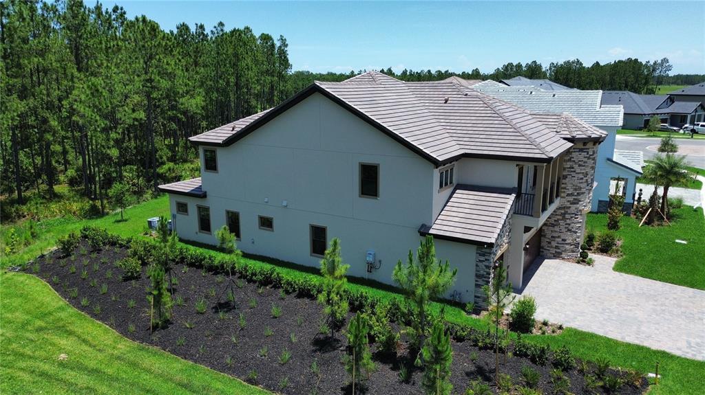 35311 Big Hawk Drive Zephyrhills, FL 33541 - Photo 3 of 34