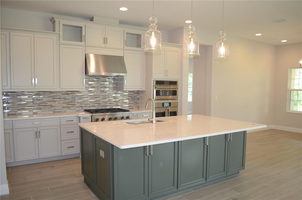 35311 Big Hawk Drive Zephyrhills, FL 33541 - Photo 4 of 34