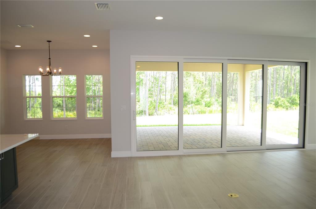 35311 Big Hawk Drive Zephyrhills, FL 33541 - Photo 5 of 34