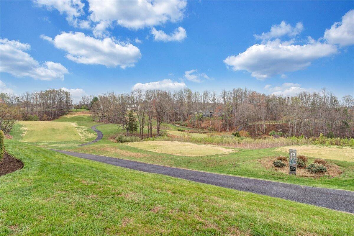 66 Scarlet Street Hardy, VA 24101 - Photo 2 of 72 a view of yard with swimming pool and trees in the background