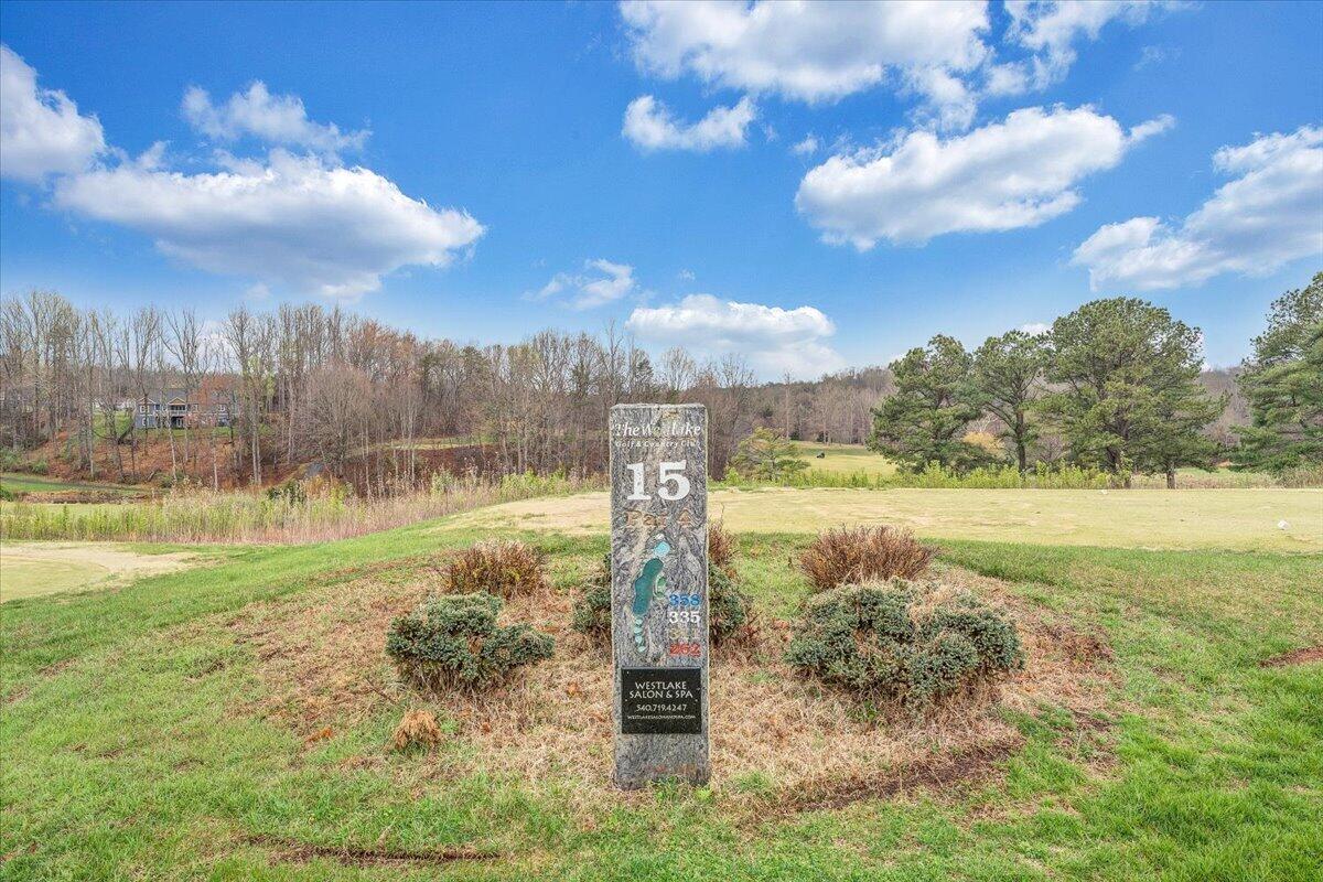 66 Scarlet Street Hardy, VA 24101 - Photo 3 of 72 66-MIB03625