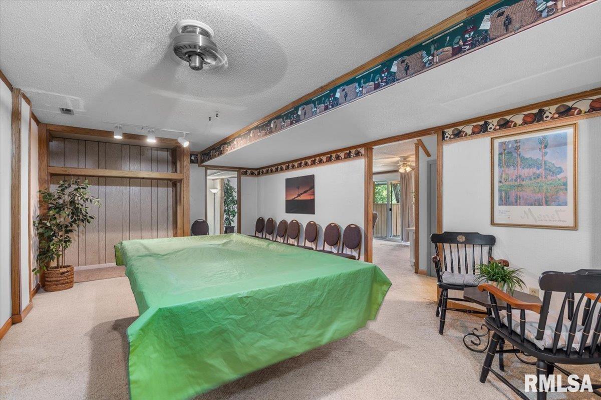 5260 River View Road Riverton, IL 62561 - Photo 23 of 34