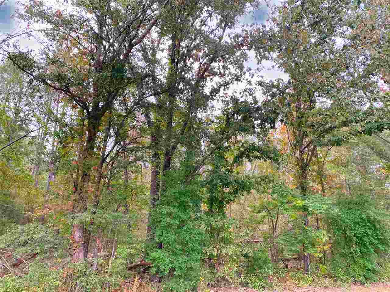 0 Coal Bluff Road, Unit 5 Lena, MS 39094 - Photo 2 of 4 Photo 2