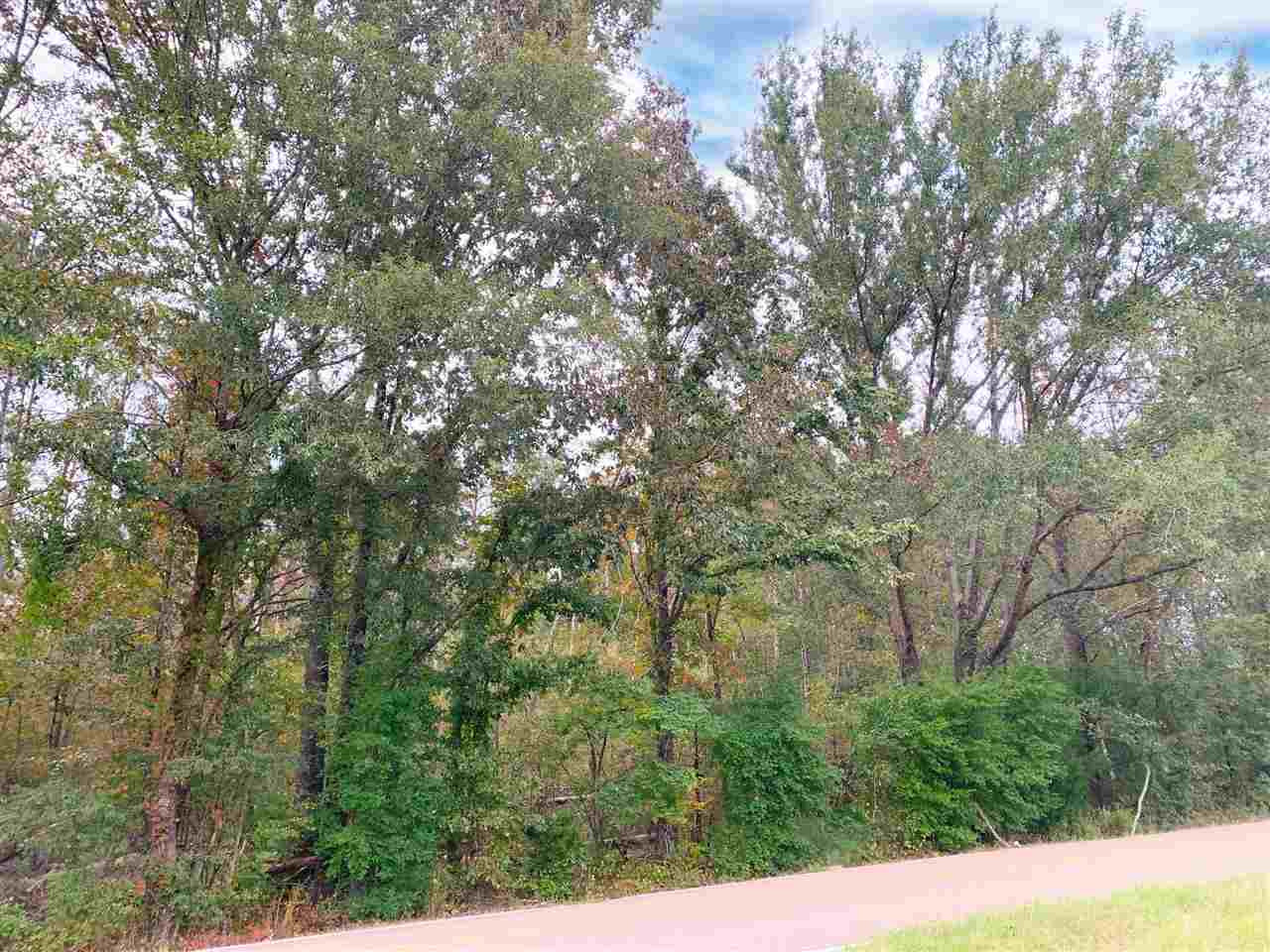 0 Coal Bluff Road, Unit 5 Lena, MS 39094 - Photo 3 of 4 Photo 3