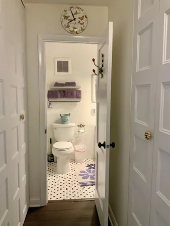 a bathroom with a toilet and a shower