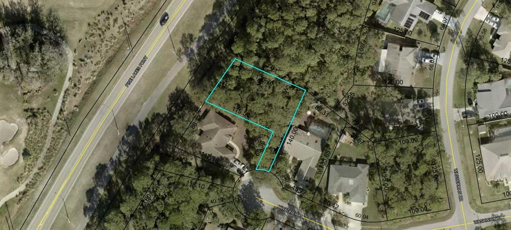 8 Wagner Place Palm Coast, FL 32164 - Photo 1 of 1 a picture of a tree