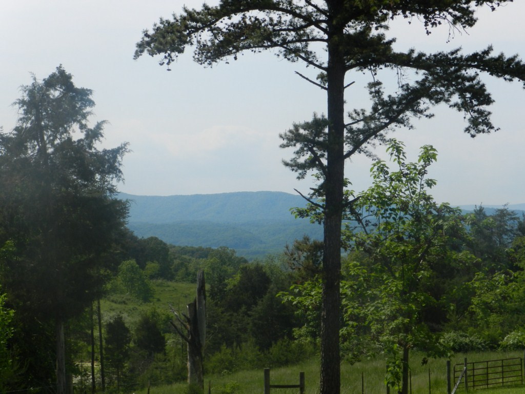 390 Stage Road Buchanan, VA 24066 - Photo 4 of 17 View