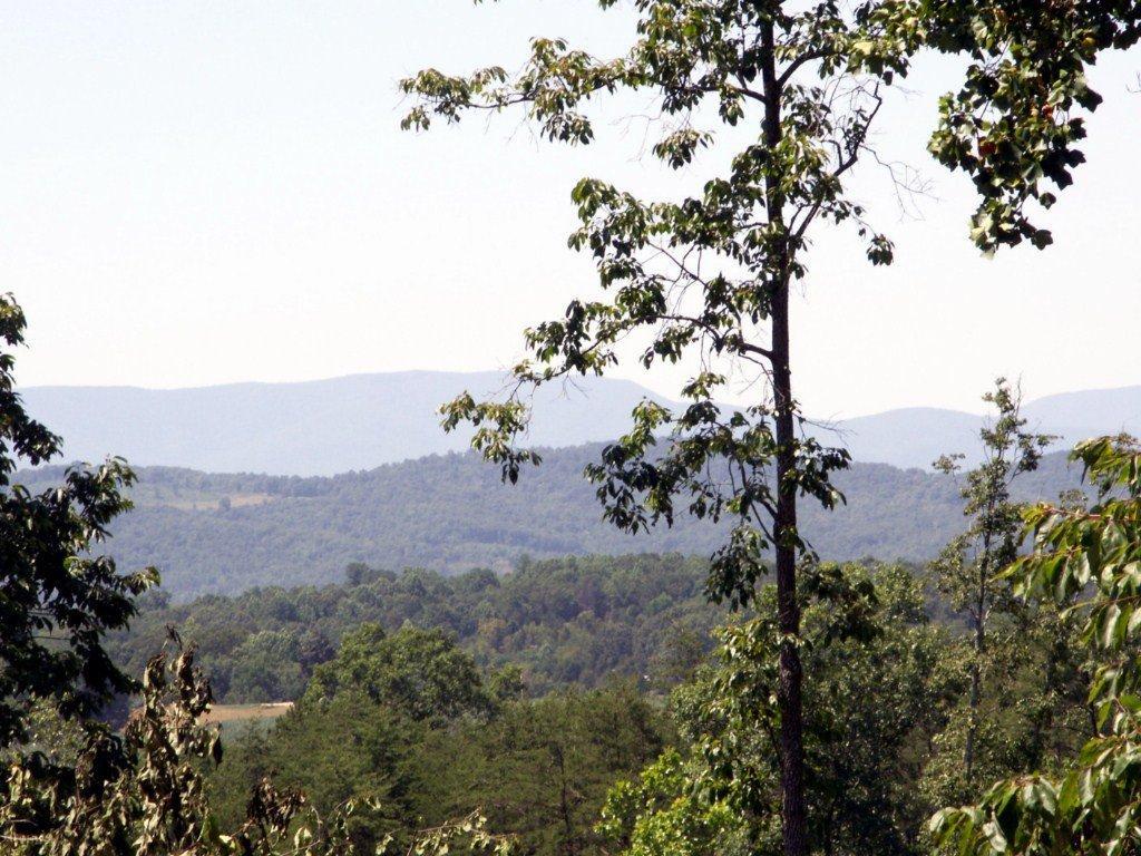 390 Stage Road Buchanan, VA 24066 - Photo 5 of 17 View