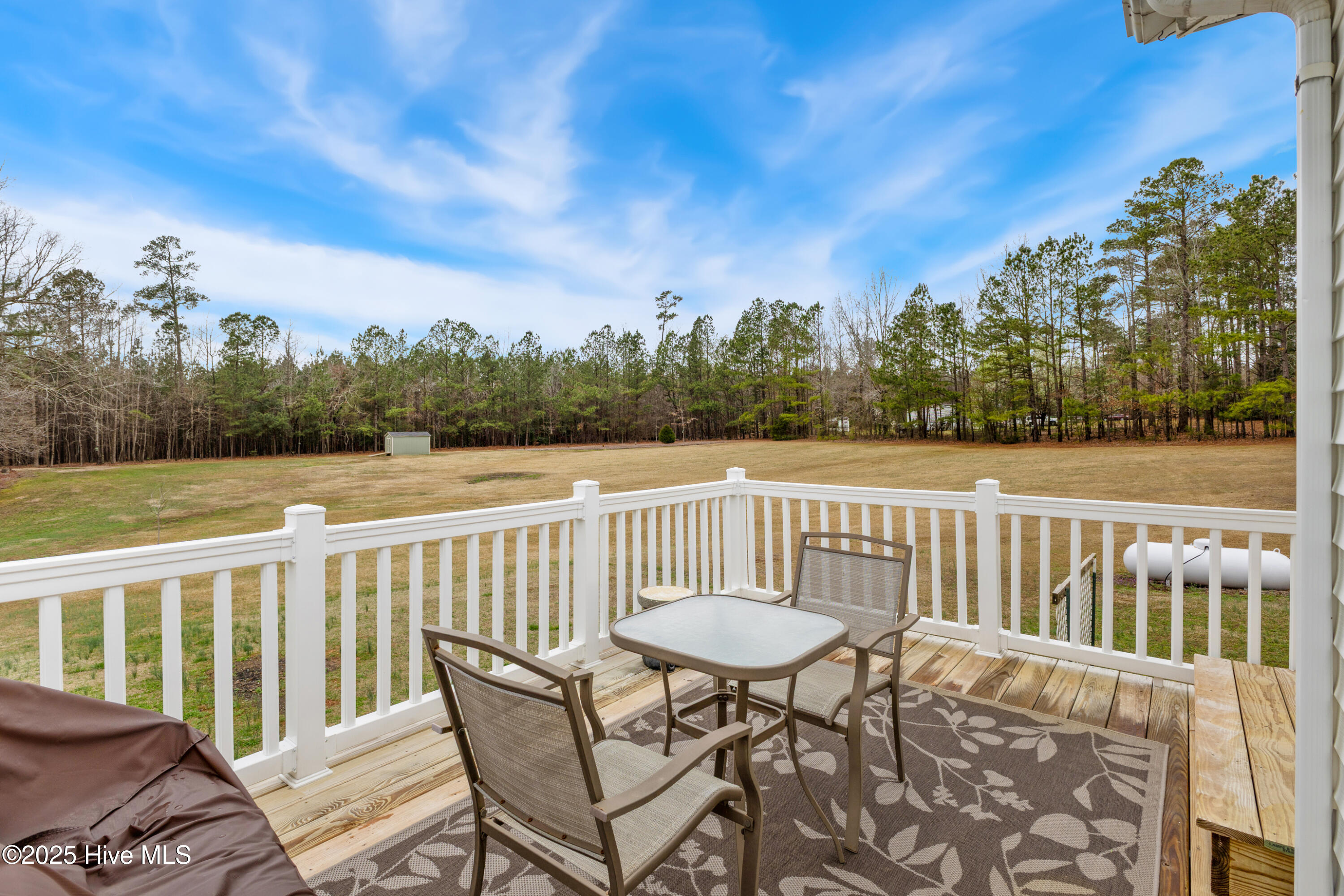 2650 Spring Hill Road Spring Hope, NC 27882 - Photo 10 of 17 030