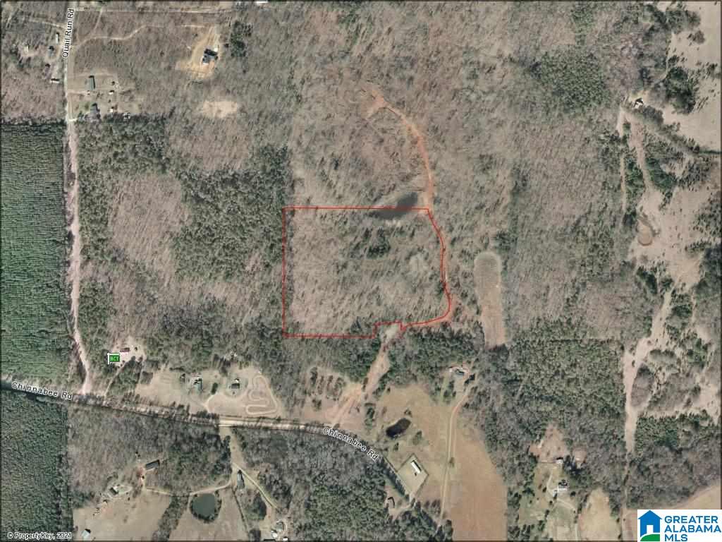 0 Chinnabee Road, Unit 1 Munford, AL 36268 - Photo 3 of 3