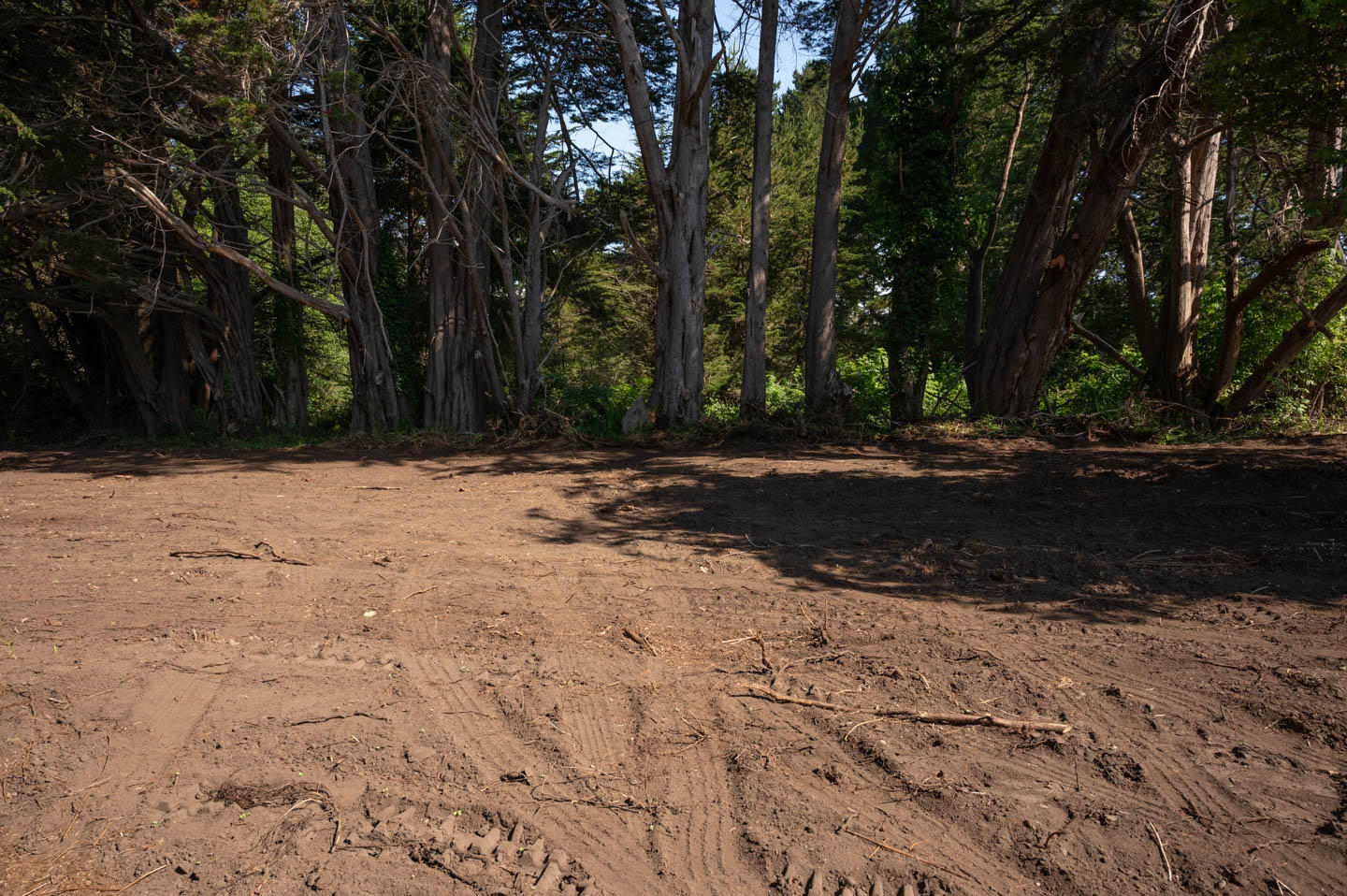 7156 Humboldt Hill Road Eureka, CA 95503 - Photo 8 of 31