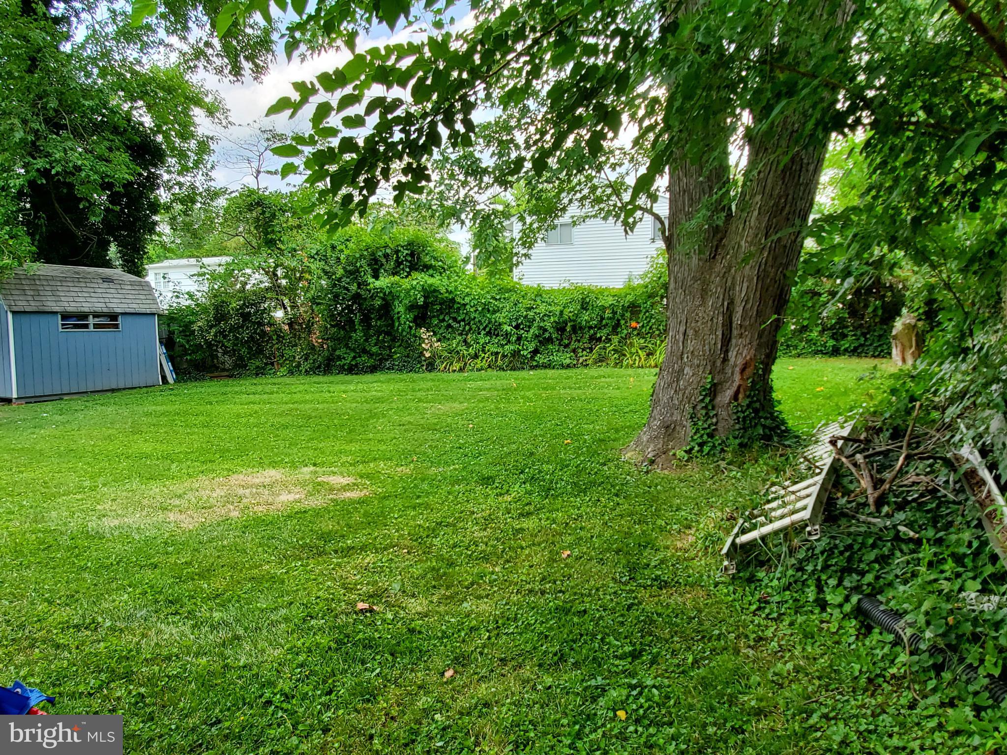 3923 Minden Road Silver Spring, MD 20906 - Photo 4 of 5