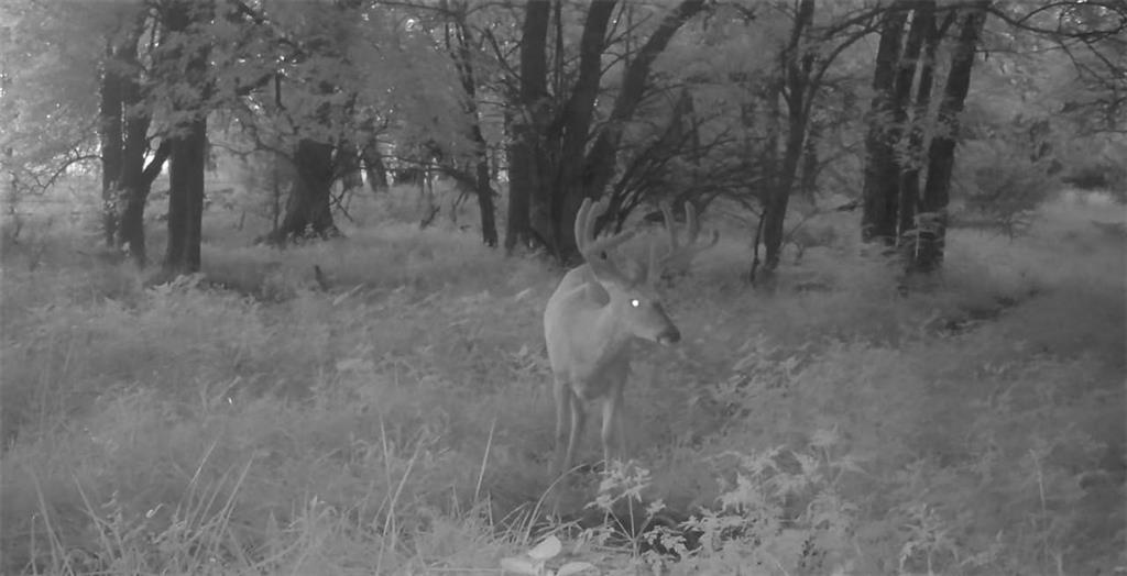 550 California Road Williamsburg, KS 66095 - Photo 58 of 75 Gallery Image 58