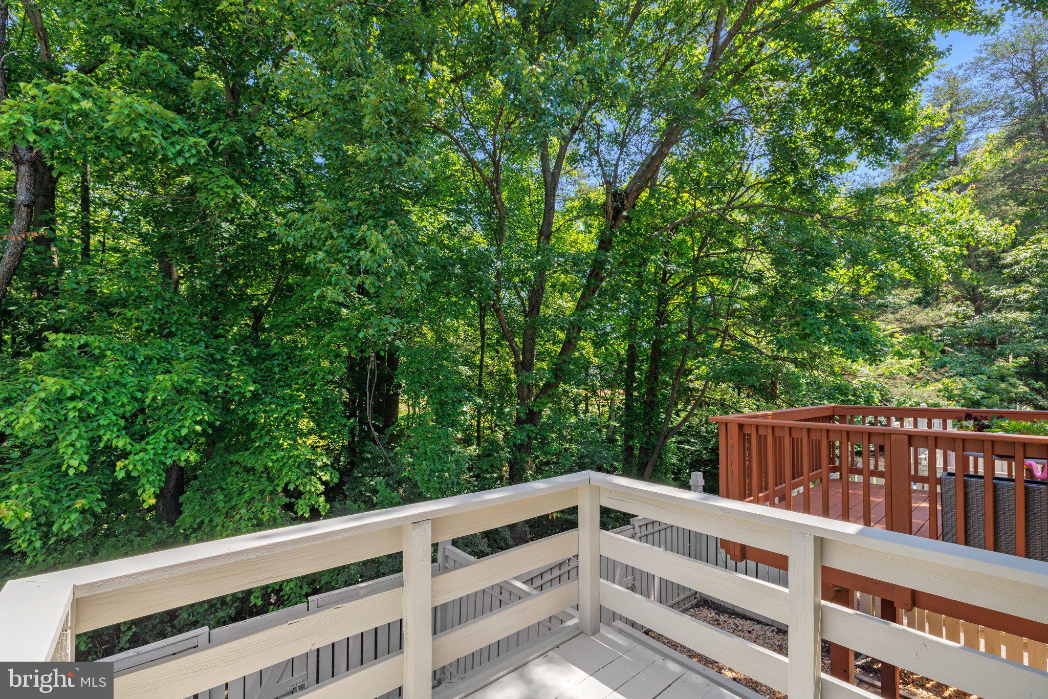 1665 Fieldthorn Drive Reston, VA 20194 - Photo 34 of 38