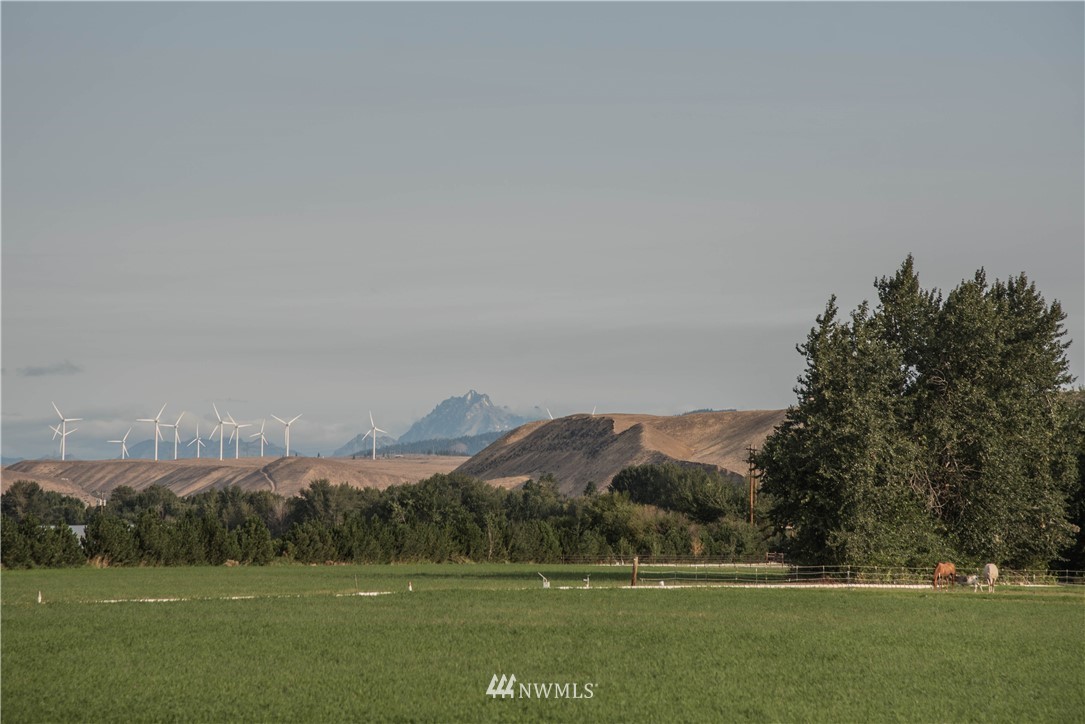 830 Wade Road Thorp, WA 98946 - Photo 22 of 25 Gallery Image 22