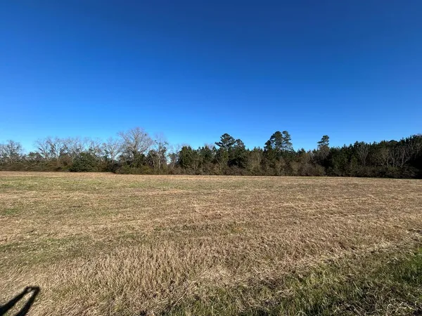 $129,348 | Lot12-10.8 -ac Lot12-10.8 -ac Willie Varnum Rd/d Hodge Road, Cottonwood, AL 36320