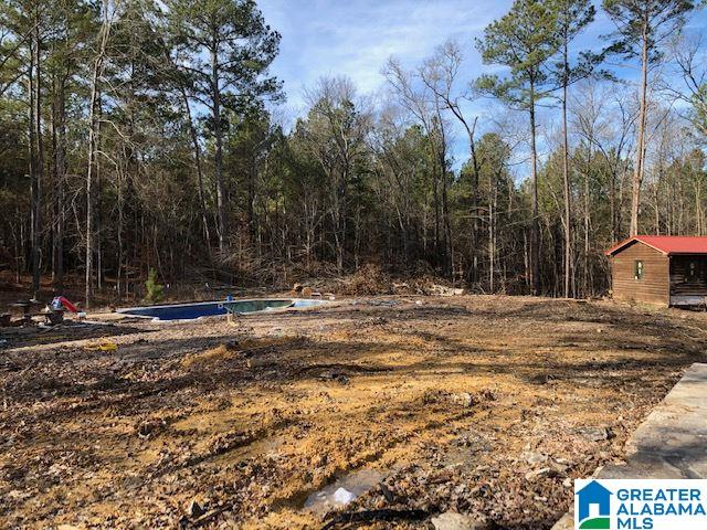 1919 Mt Gilead Road, Unit 9 21 Jacksonville, AL 36265 - Photo 13 of 39