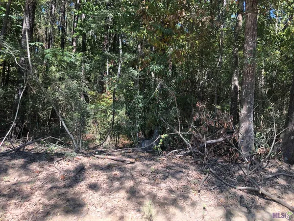 $140,000 | Tbd Gross Road, Clinton, LA 70722
