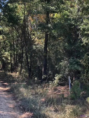 $140,000 | Tbd Gross Road, Clinton, LA 70722