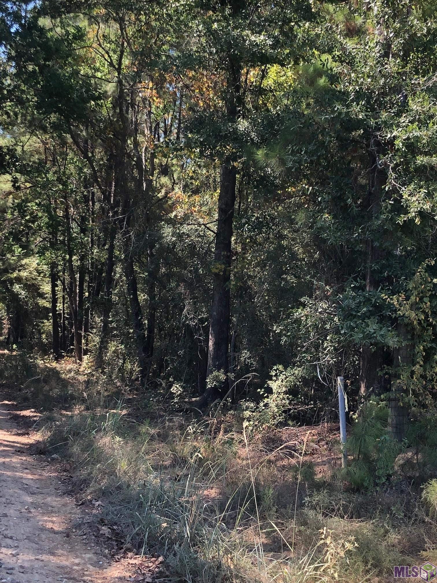 Tbd Gross Road Clinton, LA 70722 - Photo 2 of 3