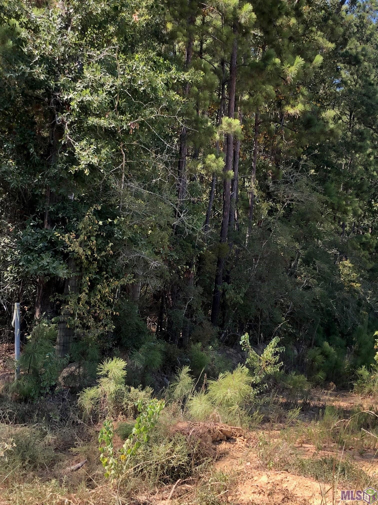 Tbd Gross Road Clinton, LA 70722 - Photo 3 of 3