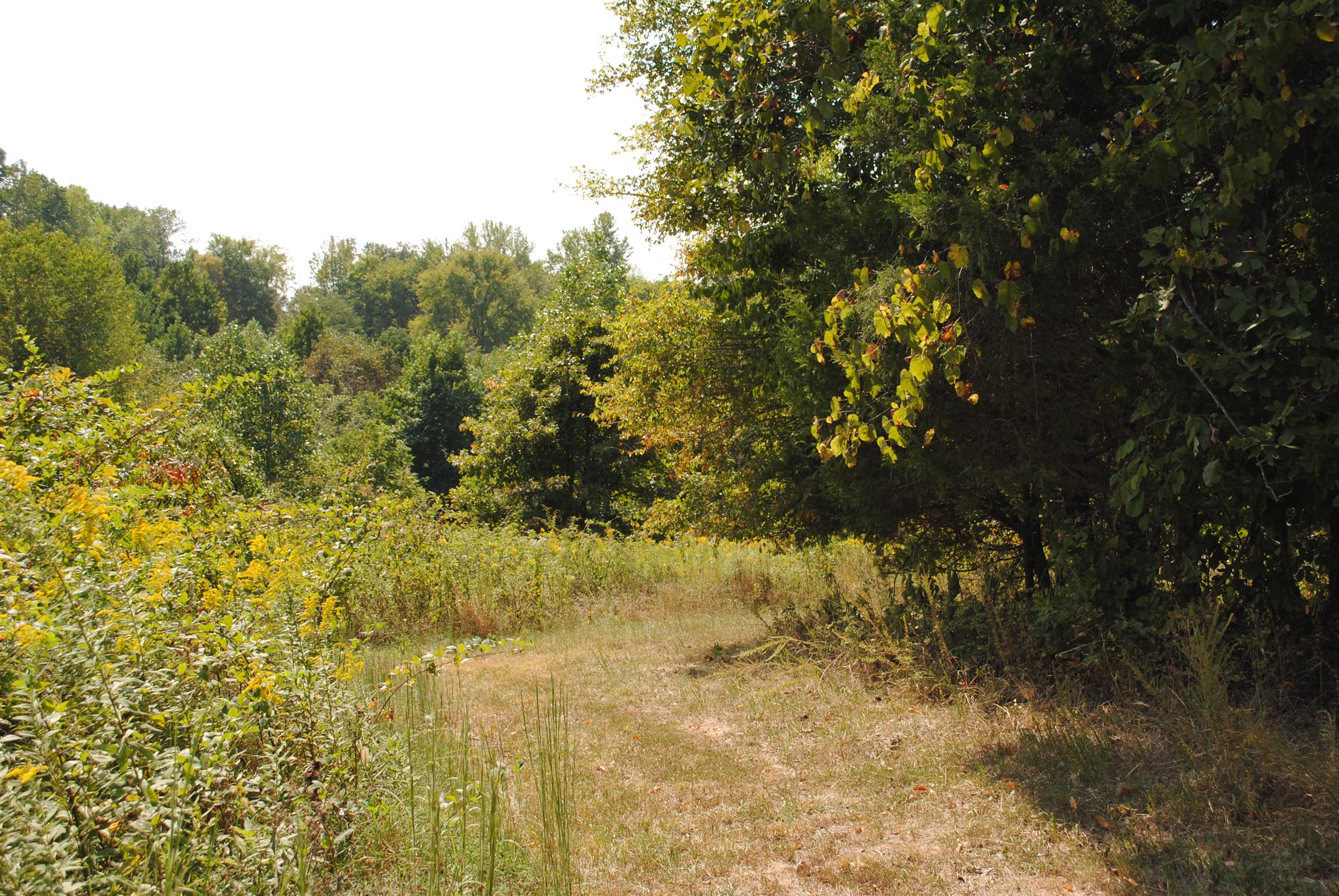 129 Bob Lewis Road Indian Mound, TN 37079 - Photo 23 of 28 Gallery Image 23