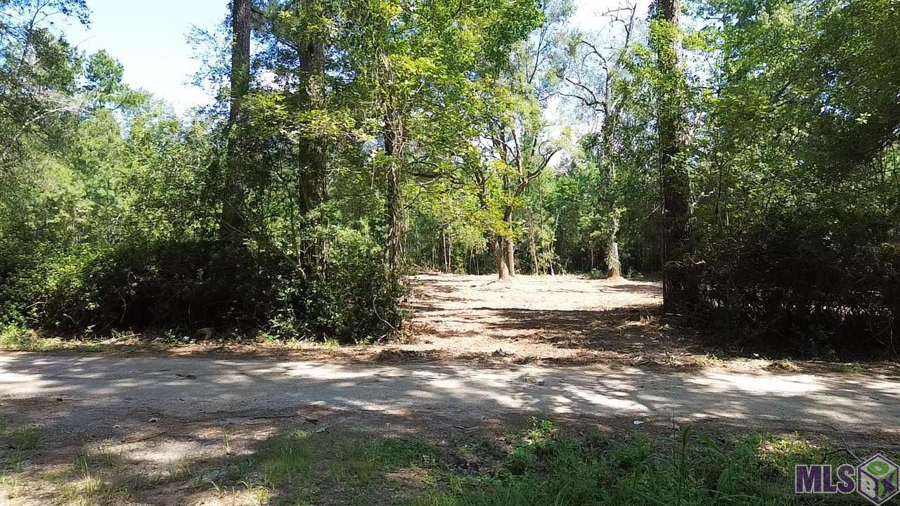 23947 Joe Gayle Road Livingston, LA 70754 - Photo 1 of 11 Gallery Image 1