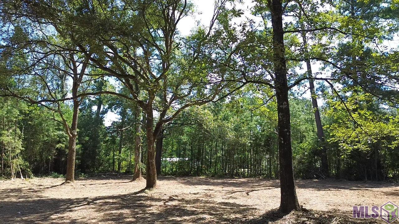 23947 Joe Gayle Road Livingston, LA 70754 - Photo 11 of 11 Gallery Image 11