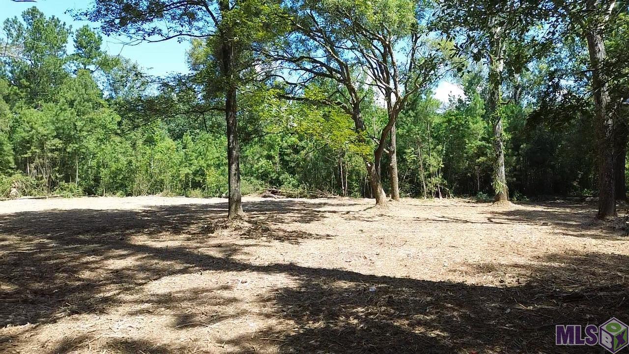 23947 Joe Gayle Road Livingston, LA 70754 - Photo 3 of 11 Gallery Image 3