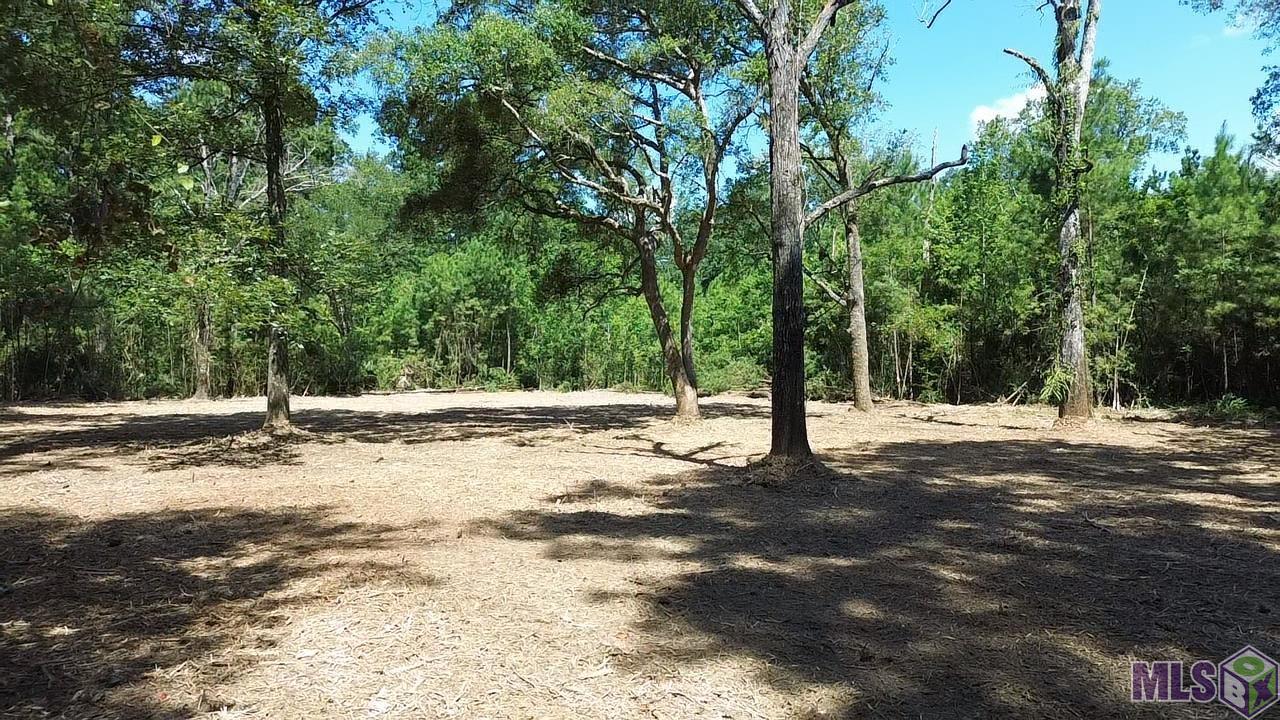 23947 Joe Gayle Road Livingston, LA 70754 - Photo 4 of 11 Gallery Image 4