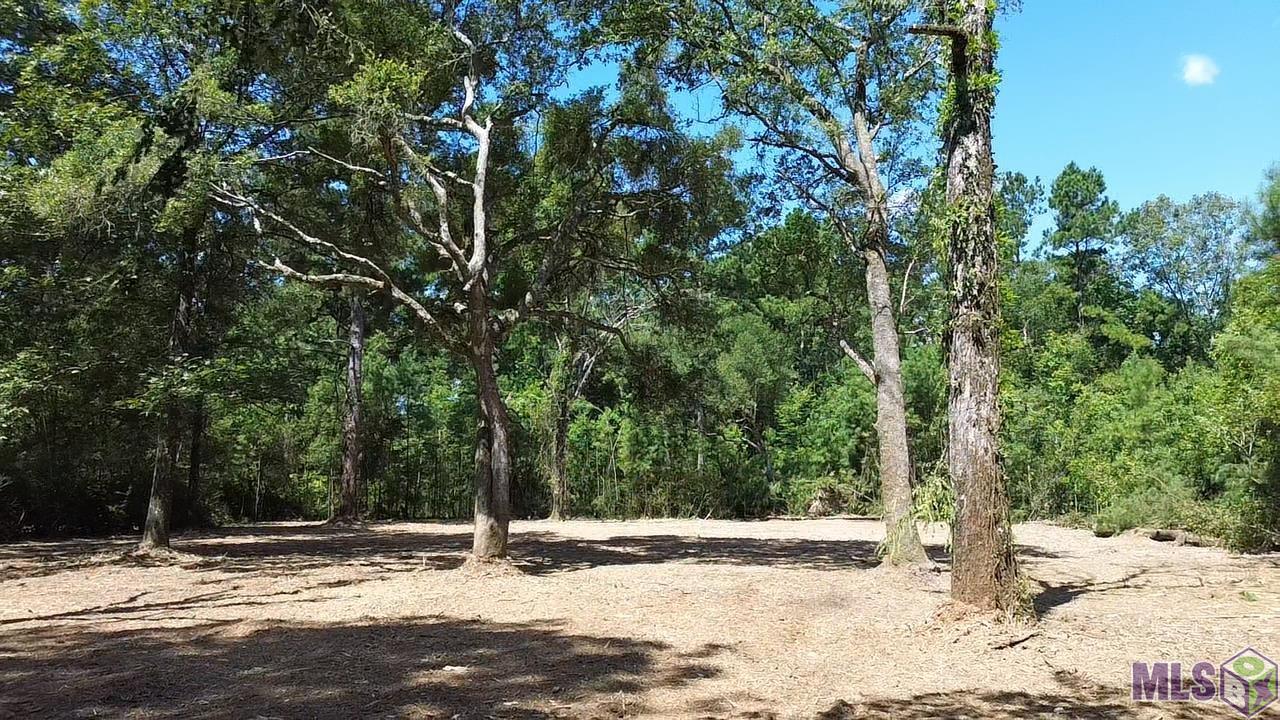 23947 Joe Gayle Road Livingston, LA 70754 - Photo 5 of 11 Gallery Image 5