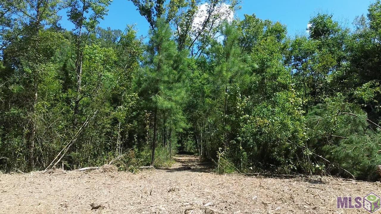 23947 Joe Gayle Road Livingston, LA 70754 - Photo 6 of 11 Gallery Image 6