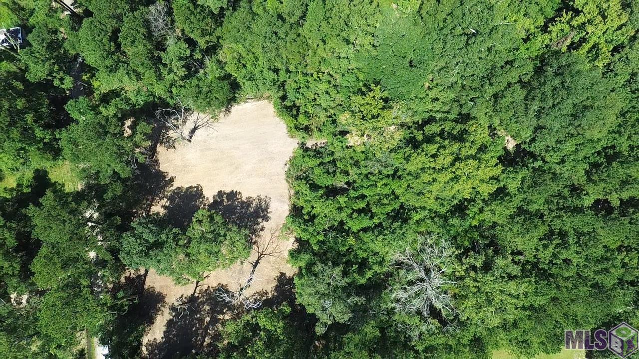 23947 Joe Gayle Road Livingston, LA 70754 - Photo 8 of 11 Gallery Image 8