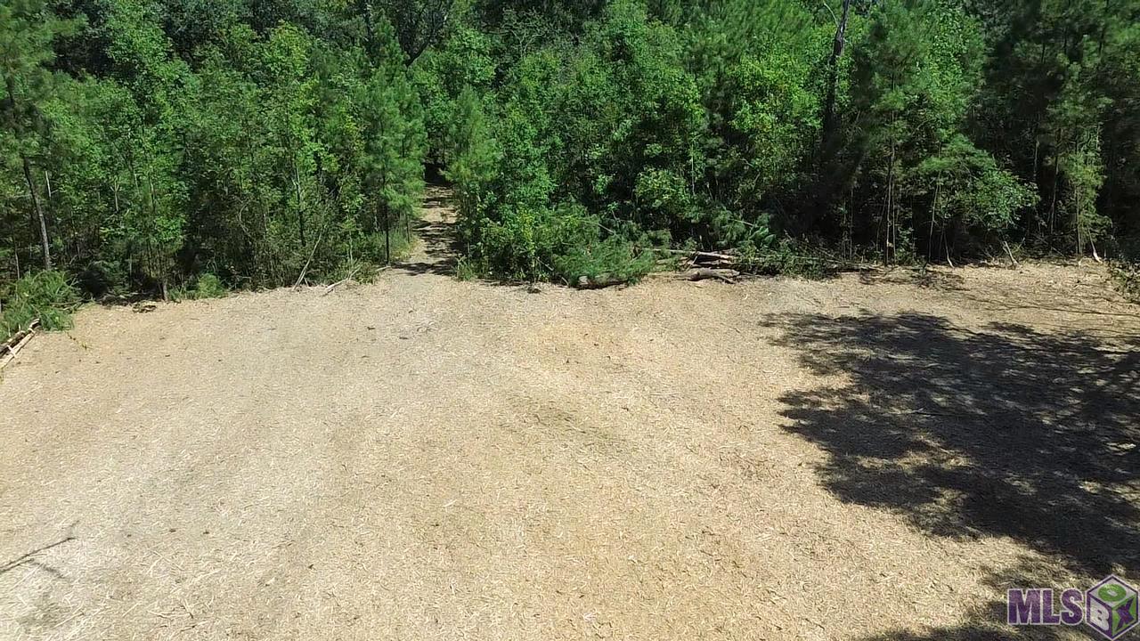 23947 Joe Gayle Road Livingston, LA 70754 - Photo 9 of 11 Gallery Image 9